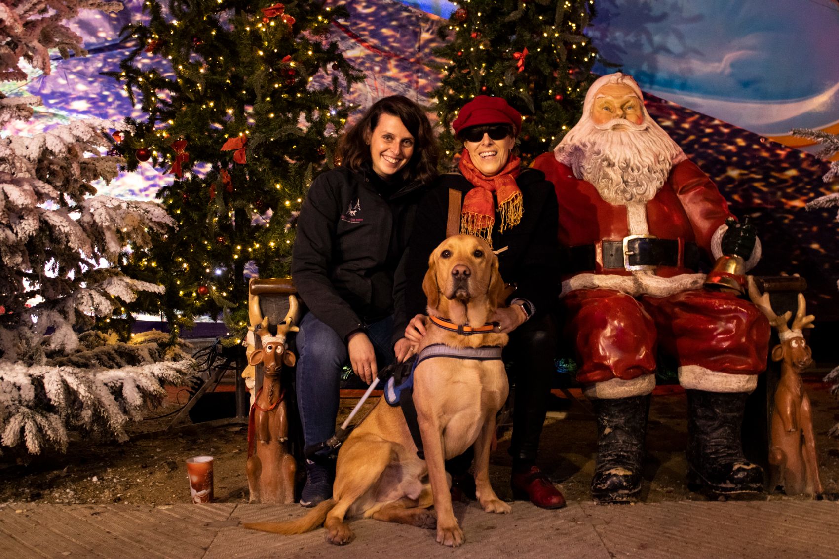 Association Chiens guides